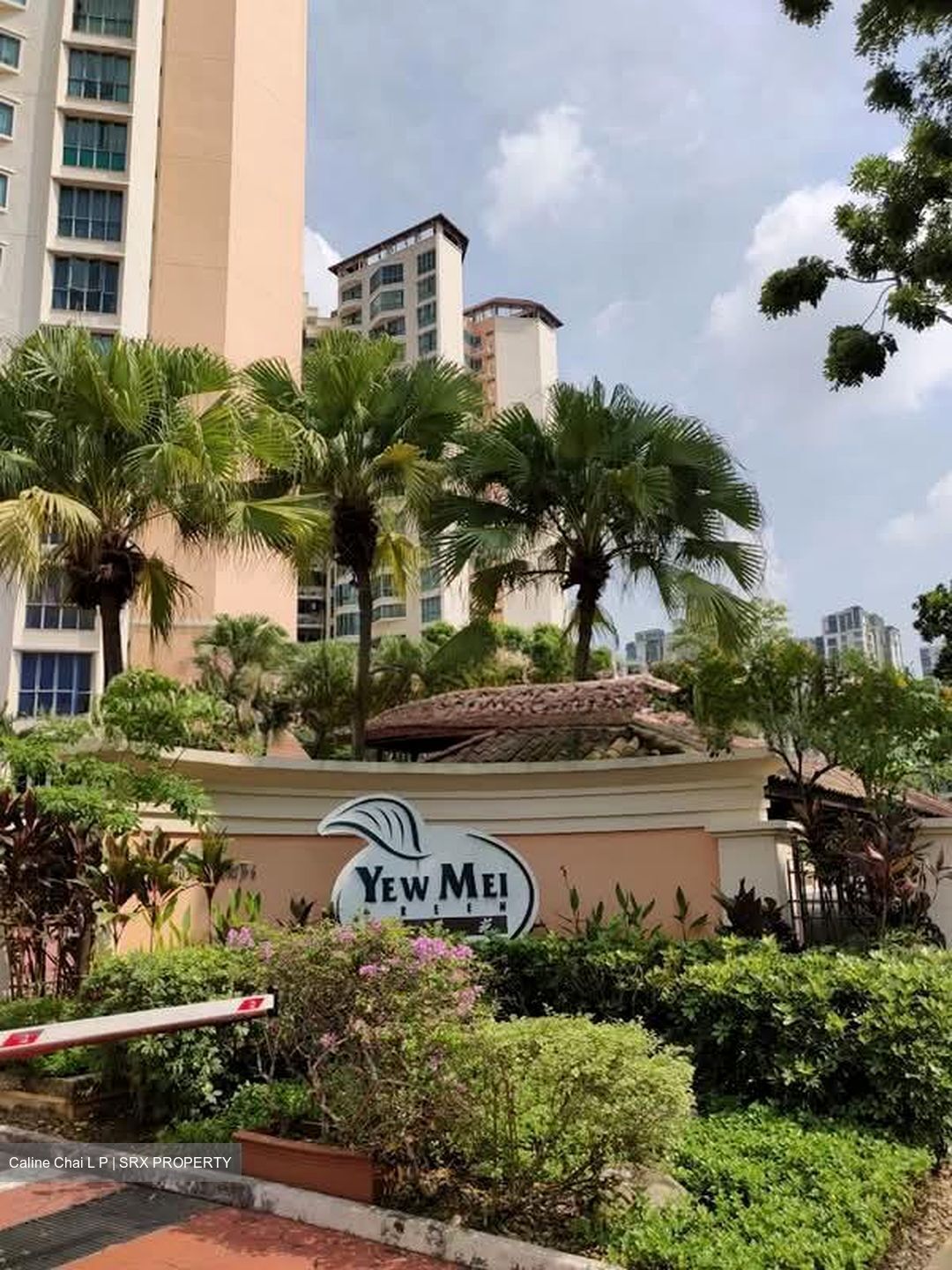 Yew Mei Green (D23), Condominium #589111911